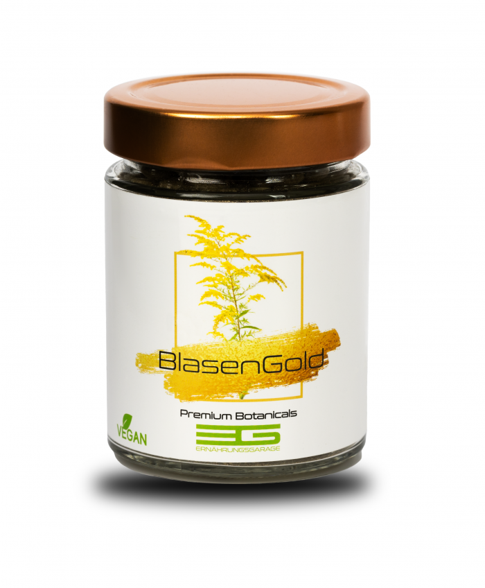 inkontinenz blasenentzündung