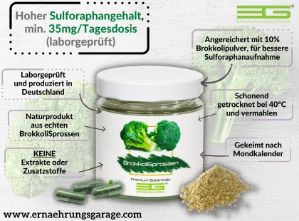 sulforaphan ernaehrungsgarage