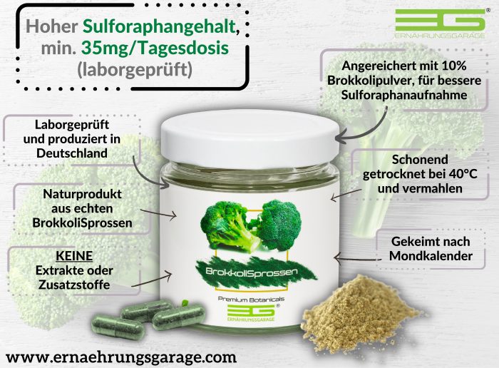 sulforaphan ernaehrungsgarage