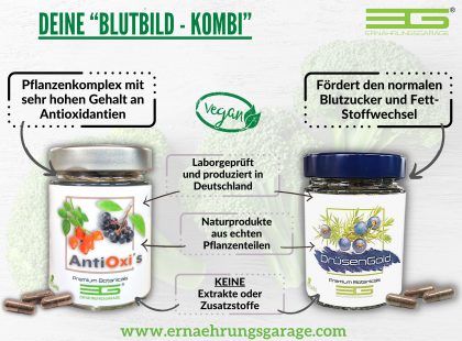 blutbild diabetes blutzucker antioxidantien ernaehrungsgarage
