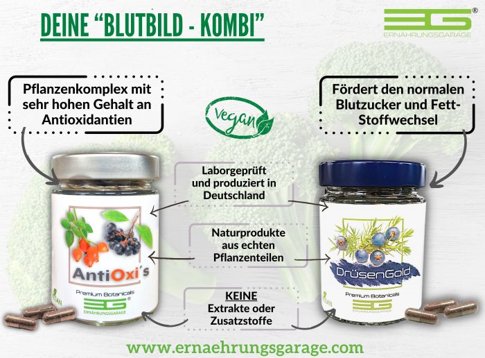 blutbild diabetes blutzucker antioxidantien ernaehrungsgarage